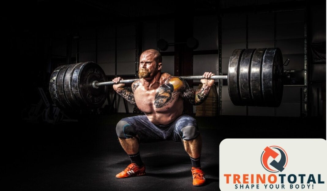 agachamento com barra agachamento com barra