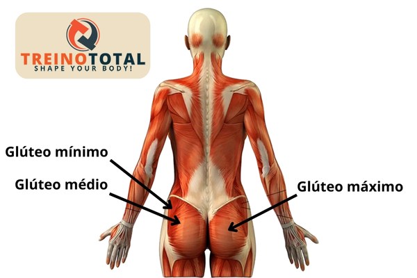 glúteos