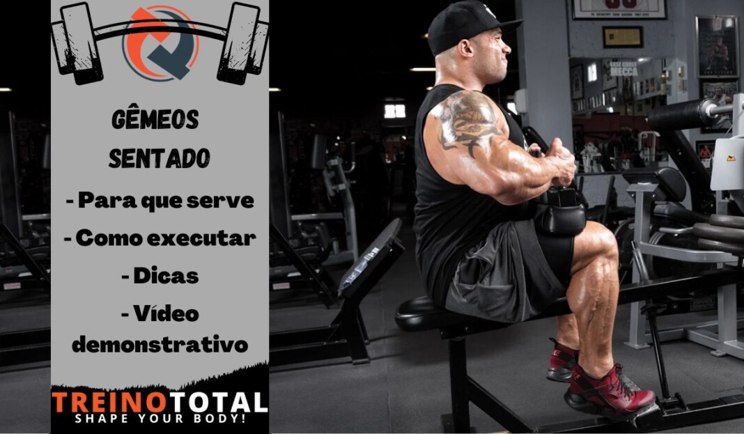 Gêmeos sentado - Como executar - Para que serve - Dicas - Vídeo demonstrativo