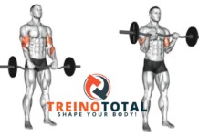 Rosca inversa: como fazer, variações, músculos solicitados e dicas rosca inversa invertida ou reversa