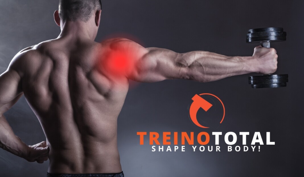 treino de ombro melhores exercicios treino de ombro melhores exercicios