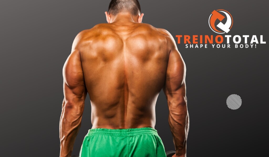 melhores exercicios para trapezio treino