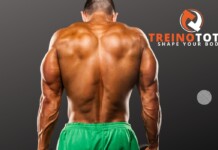 7 Melhores exercícios de trapézio para seu treino melhores exercicios para trapezio treino