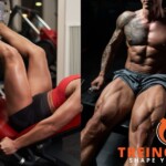 Quadríceps (anterior de coxas): Os 5 Melhores Exercícios para seu treino melhores exercicios para quadriceps anterior de coxas