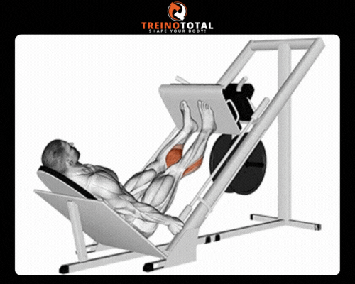 Gêmeos no leg-press
