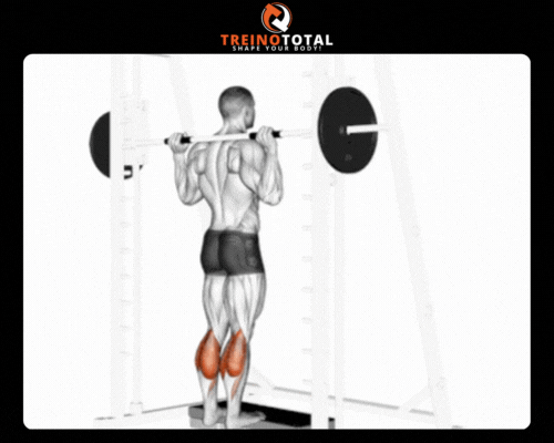  Gêmeos no Smith Machine