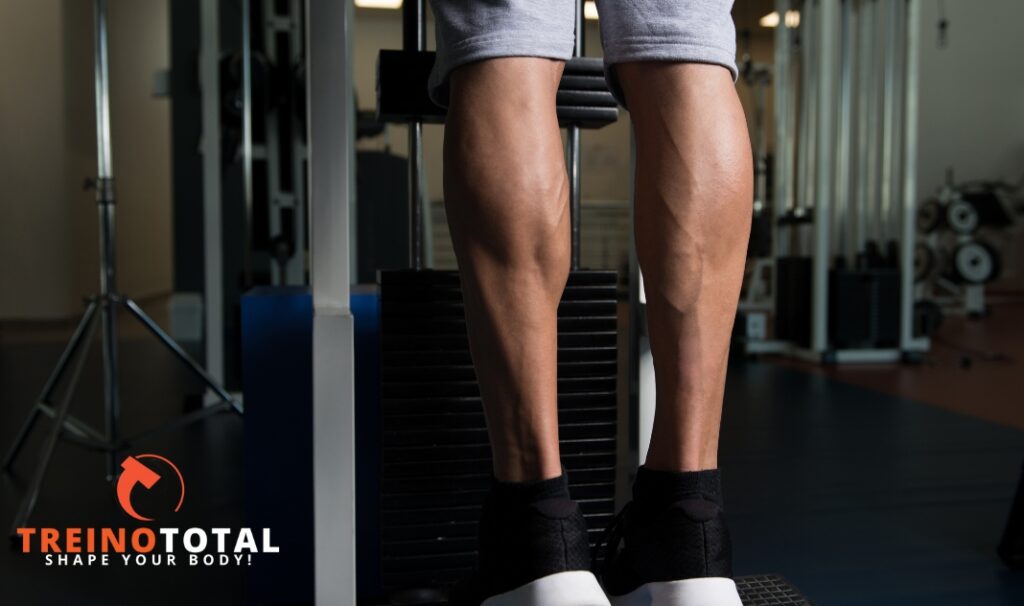 panturrilhas melhores exercícios