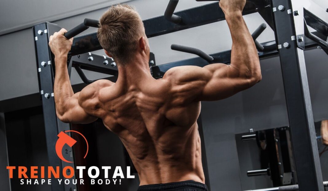 reino de costas melhores exercicios