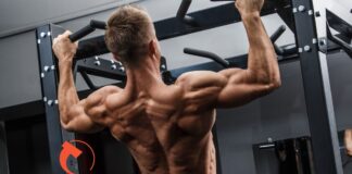 Treino de Costas: 10 Melhores exercícios de Dorsais reino de costas melhores exercicios