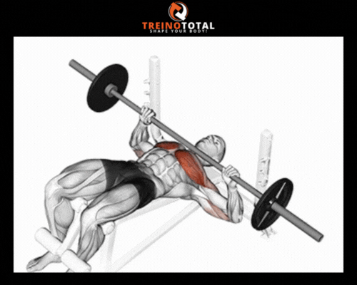 supino declinado com barra como fazer musculos