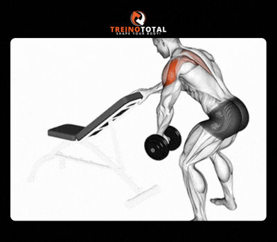 crucifixo inverso com halteres unilateral