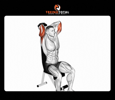 triceps frances sentado
