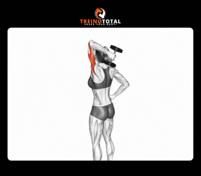triceps frances unilateral