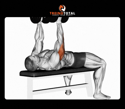 triceps testa com 2 halteres