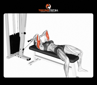 triceps testa na polia